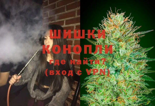 крисы Ростов